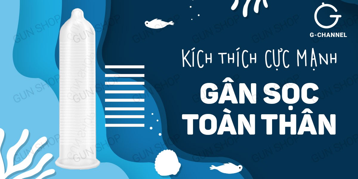 Bao cao su Shell Seahorse - Hộp 3 cái