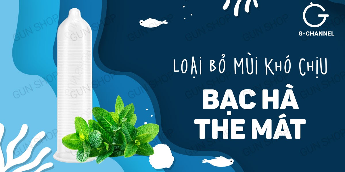 Bao cao su Shell Seahorse - Hộp 3 cái