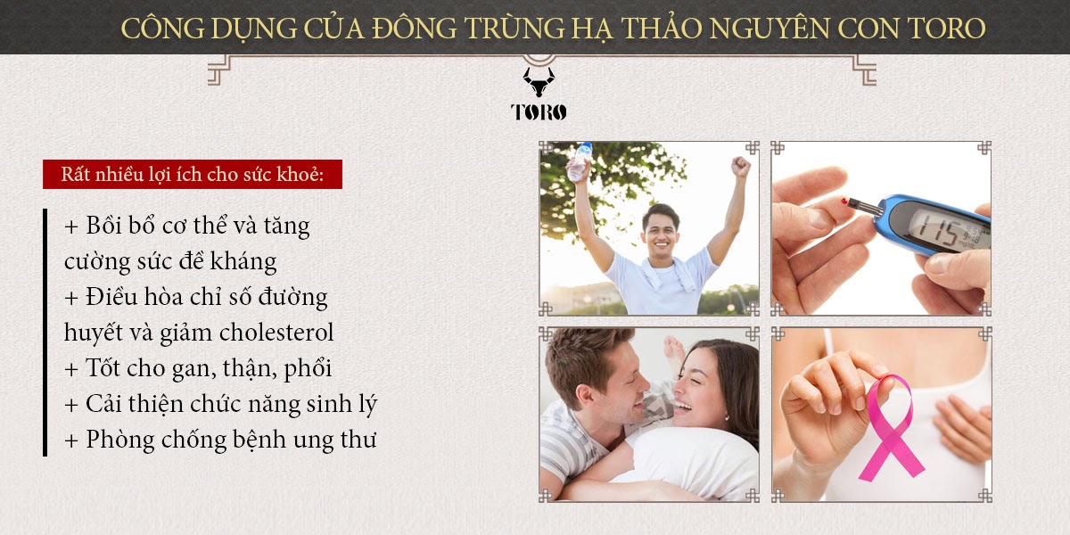 Đông trùng hạ thảo cao cấp nguyên con